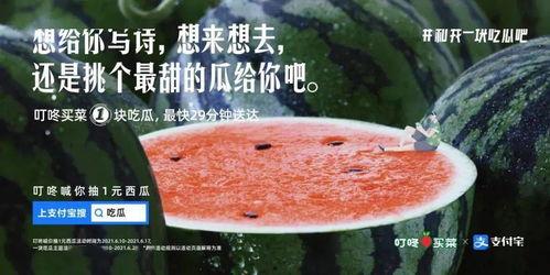 吃瓜吃的多的文案,揭秘吃瓜群众的狂欢盛宴