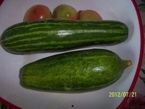 江西江科吃瓜,揭秘校园网络热传的幕后真相