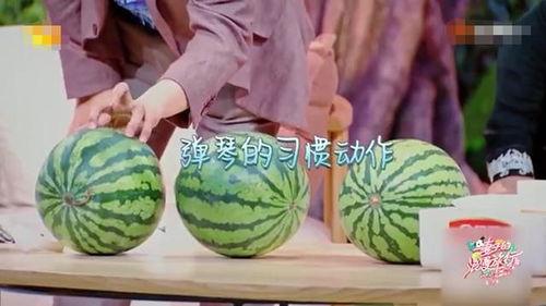 国际趣事吃瓜,国际趣事大揭秘，吃瓜群众齐围观